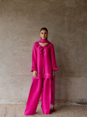 Cerise Farshi Salwar Set