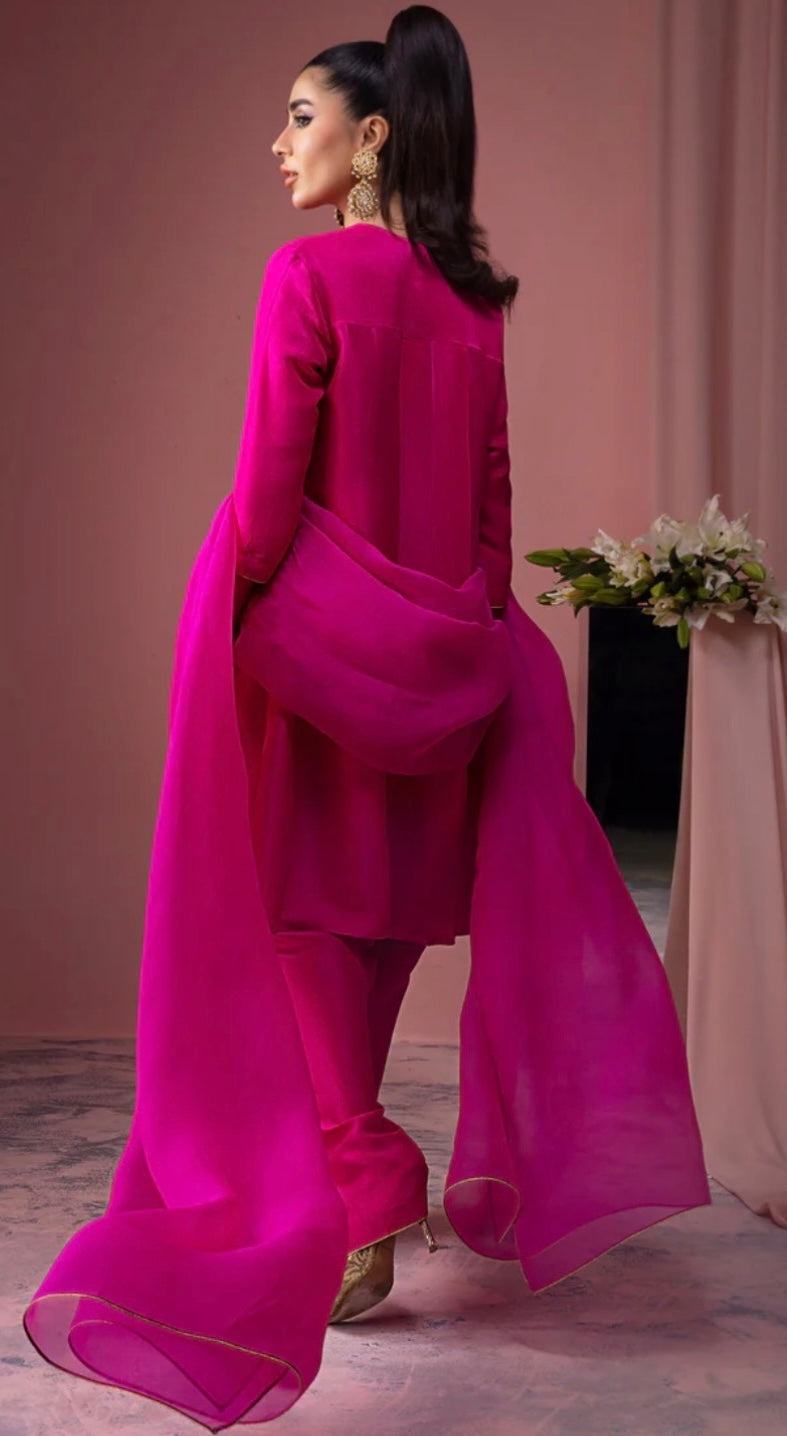 Iskra Farshi-Salwar Set